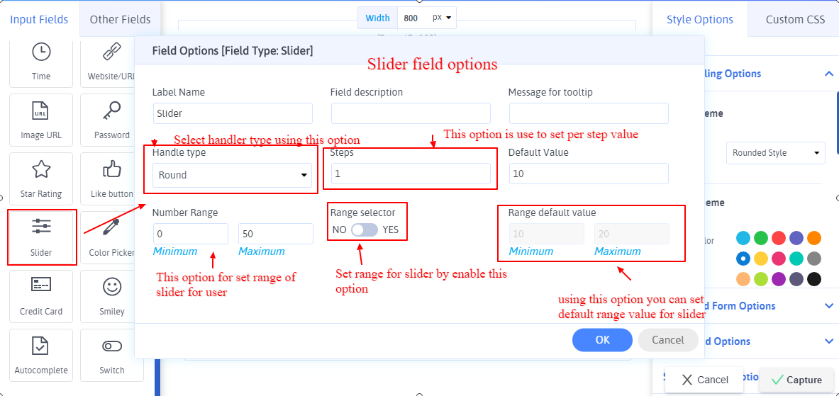 Slider Field Option