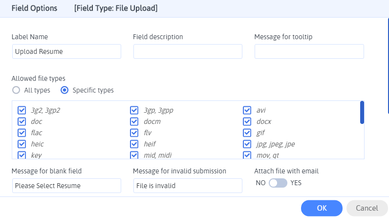 File Upload Field Options