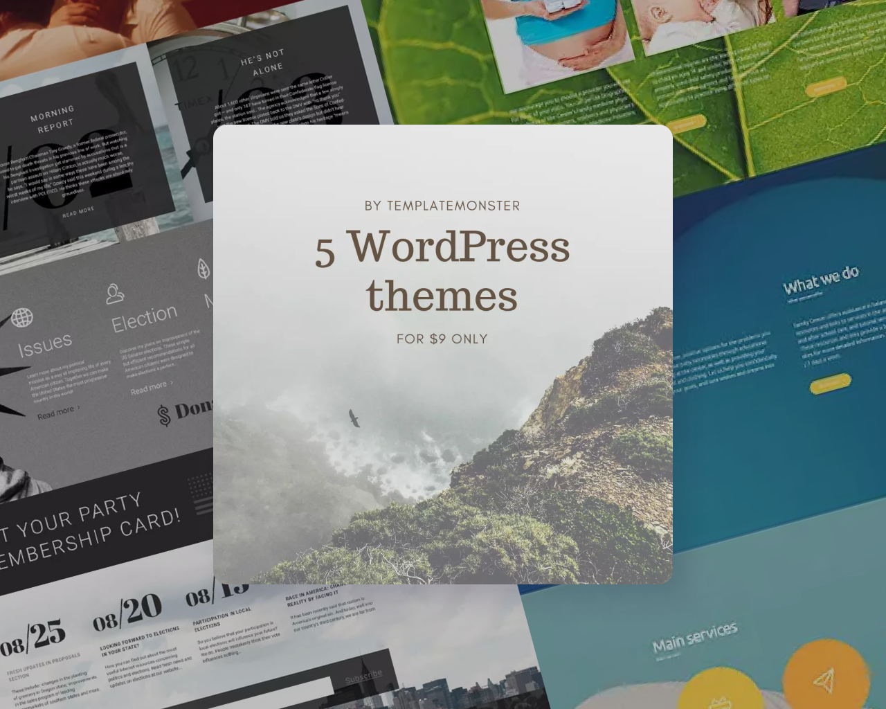 best wordpress theme