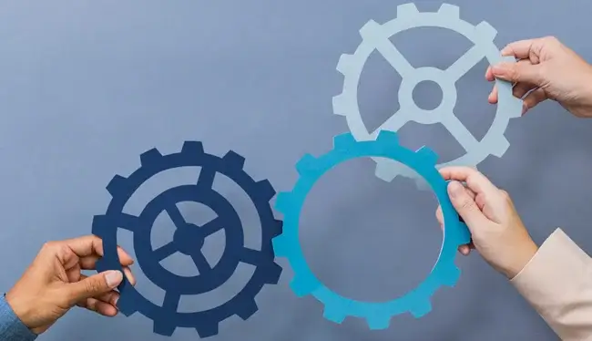 Customization and Flexibility of WordPress Competitors