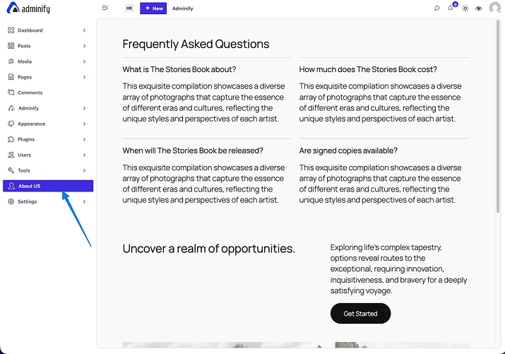 custom admin page in Adminify